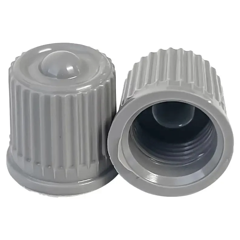 AA Premium Silver TPMS Valve Cap (100/Bag)