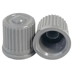 AA Premium Silver TPMS Valve Cap (100/Bag)