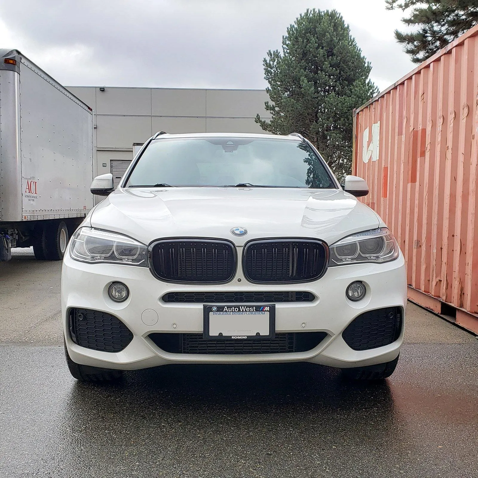 Kidney Grilles for 2014-18 BMW X5/X6 F15/F16 (Gloss Black Dual Slat)