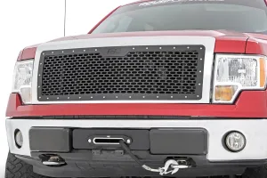 Mesh Grille | Ford F-150 2WD/4WD | 2009-2014