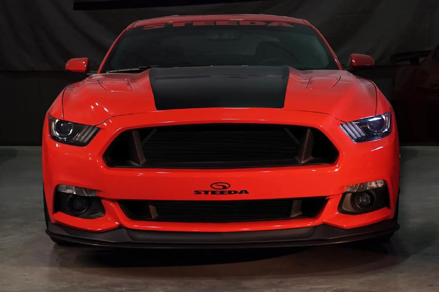 S550 Mustang Grill Deletes
