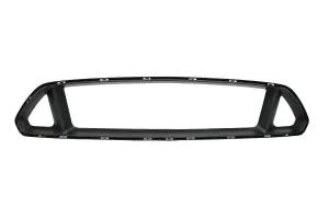 S550 Mustang Grill Deletes